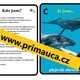 UČÍME SE POZNÁVAT MOŘSKÉ SAVCE - skupinková práce, komunitní kruh 3