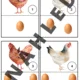 Mláďátka ze statku 5