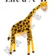Zvířata v ZOO 2