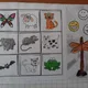 Prostorová orientace v 1. ročníku s metodikou 7