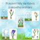 Jarní květiny 4