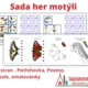 Sada her motýli 2
