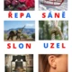 Montessori velká pohyblivá abeceda s předlohami 2