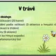V trávě 2