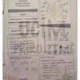 Lapbook - květ, plod, semeno, růst a vývoj rostlin 2