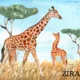 Zvířátka v ZOO 2