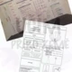 Lapbook - květ, plod, semeno, růst a vývoj rostlin 3