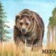 Zvířátka v ZOO 3