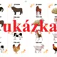 Já mám - kdo má - Statek/Zvířata na statku  2