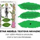 Velikonoční šifra (samostatná práce skupinek) 4