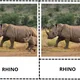MAMMALS - anglické třísložkové karty 2