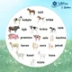 Mláďata na farmě 3 - postřehovka (31 karet) 3