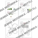 Motýli - výukový materiál  6
