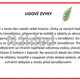 PÁLENÍ ČARODĚJNIC A STAVĚNÍ MÁJKY - původ, zvyky tradice - BĚHACÍ DIKTÁT 4