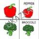 Slovní zásoba v prezentaci - ZELENINA / VEGETABLES - žádný tisk a laminování 3