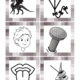 Homonyma 5