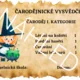 ČARODĚJNICKÉ DIPLOMY A MEDAILE 4