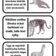 Domino - věty o zvířátkách v ZOO 5