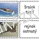  PARYBY a RYBY - poznávačka (domino) 2