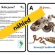 UČÍME SE POZNÁVAT NEJZNÁMĚJŠÍ HADY - další sada k aktivitě mimo lavice 3