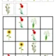 Kytičkové obrázkové sudoku 6