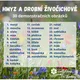 Hmyz a drobní živočichové - 30 demonstračních obrázků 2