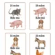 Zvířata na farmě 5