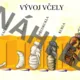 Život včely medonosné - demonstrační obrázky  6