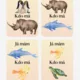 Zvířata v ZOO 6