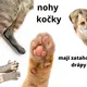 POZNÁVAČKA RODIN ZVÍŘAT - NĚKOLIK AKTIVIT 4