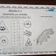 Běhačky s tajenkou: Opakování geometrie pro druháky 8