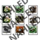 ANIMALS - memory game (150 species, 300 cards) 3