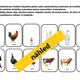 PROJEKTOVÝ DEN UČÍME SE VENKU - kompletní příprava na celé dopoledne venku 10