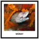 FISH - memory game (30 species) 3