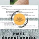 Plán vyučovací hodiny - Hmyz - úvodní hodina 3