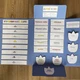 LAPBOOK - český jazyk 2