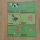 Duo puzzle - čím se živí zvířata 2