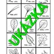 LIST 4