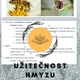 Příprava vyučovací hodiny - Hmyz a jeho užitečnost 2