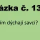 AZ kvíz - třídění živočichů, savci, ptáci, obratlovci, hmyzožravci apod. 2
