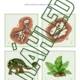 Dinosauři 7
