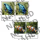 ANGLICKÉ Třísložkové karty - ANIMALS (170 species) 2