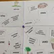 Nastříhej a nalep - prvouka 5