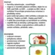 Předmatematická gramotnost v  MŠ 8