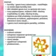 Předmatematická gramotnost v  MŠ 9