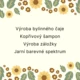 Bylinková lékárna 2