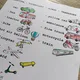 Bingo - Transport 4