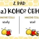 Pádové otázky - včelky 3