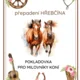 POKLADOVÁ HRA PŘEPADENÍ HŘEBČÍNA 4