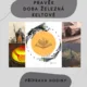 Plán hodiny - Doba železná, Keltové 3